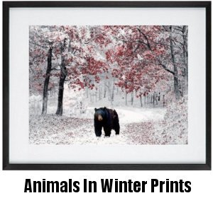 Animals In Winter Framed Prints